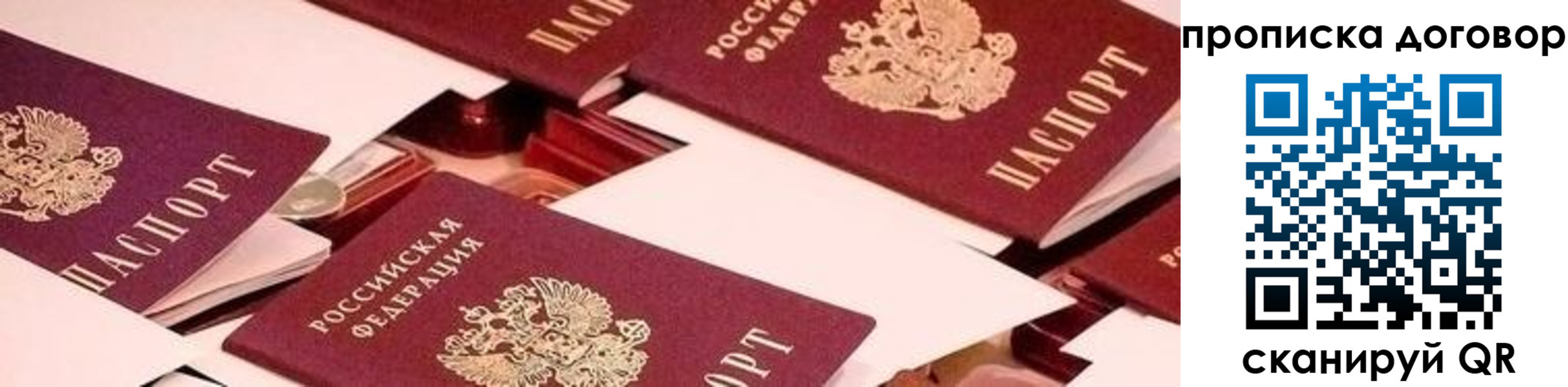 прописка для школы в Покрове